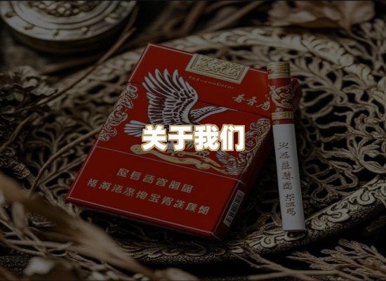 关于云歌烟网